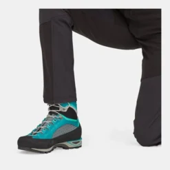 Patagonia W'S Altvia Alpine Pants -Move Wear Verkoop b11cek0003 7070 07 nl